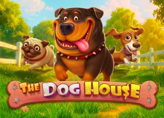 เว็บสล็อตใหม่ล่าสุด เว็บตรง The Dog House ทดลองเล่นฟรี